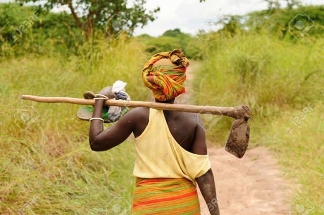 50531541-Femme-africaine-va-travailler-avec-la-houe-dans-un-champ-Banque-d'images